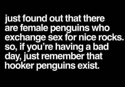 hookerpenguins.jpg