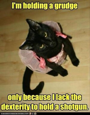 Holding a grudge.jpg