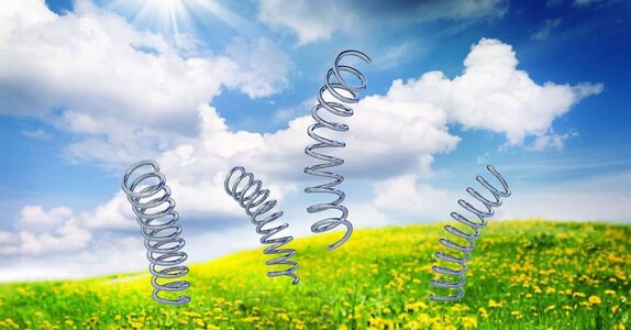 spring has sprung 2.jpg