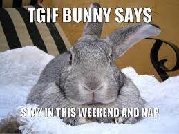 tgif bunny.jpg