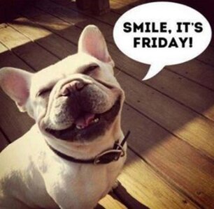dog-smile-its-friday.jpeg.jpg