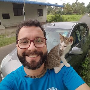 Diniz Sanchez 131888504.jpg