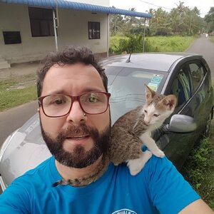 Diniz Sanchez 131902491.jpg