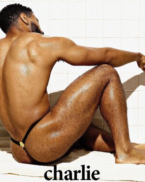 for Charlie by Matthew Zink 785763725.jpg