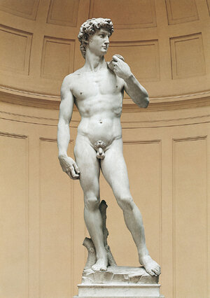 MP612-michelangelo-buonarroti-davide-galleria-dell-accademia-firenze-signum.jpg