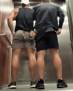 983547842_elevatiorbuttsgif-8.gif.26a03683080af11119d8e81e51b8a3e4.gif