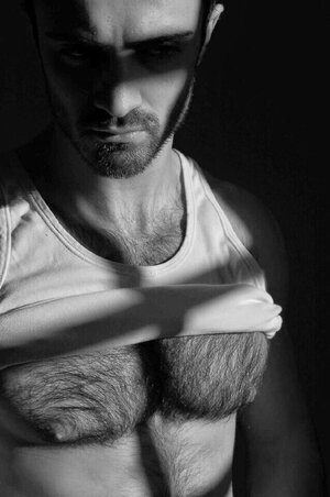 Enzo 2008 87538302.jpg