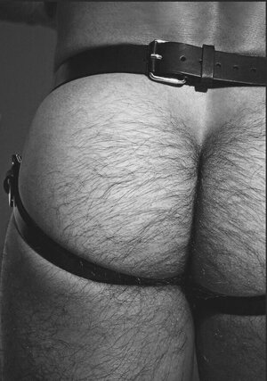 cert ass_pk3jjpCvSa1rbb64r_540.jpg