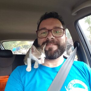 Diniz Sanchez 131909876.jpg