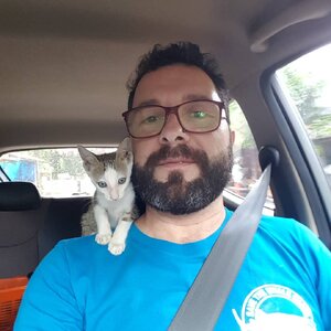 Diniz Sanchez 132093212.jpg