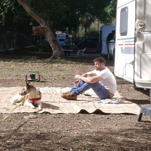 Daniel Ben Harosh 47691334.jpg