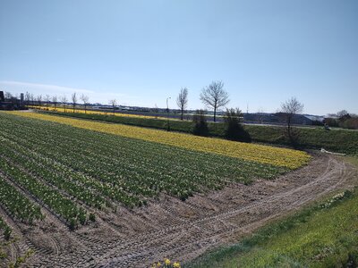 IMG_20230404_132742854.jpg IMG_20230404_132742854.jpg