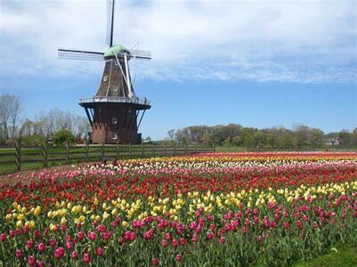 Holland Michigan.jpg