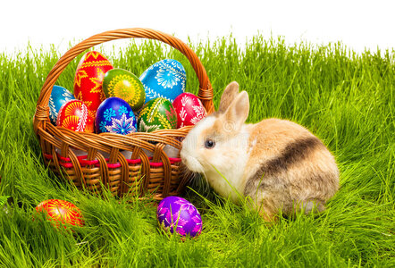 easter-egg-bunny-basket-29211508.jpg