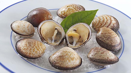 Amandes-de-mer.jpg