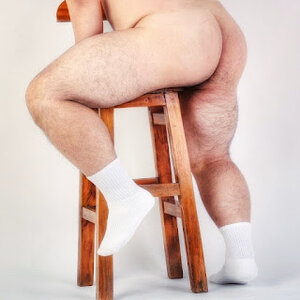 oso 4to3k40y4¡y y4y4.jpg