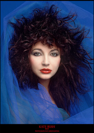 ROKB-444-445-arrowsmith©-Kate-Bush.Blue_.Poster-New.©-1.jpg