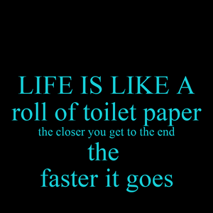 life-is-like-a-roll-of-toilet-paper-the-closer-you-get-to-the-end-the-faster-it-goes.png