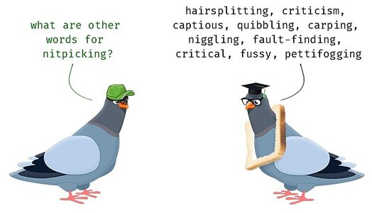 nitpicking.jpg