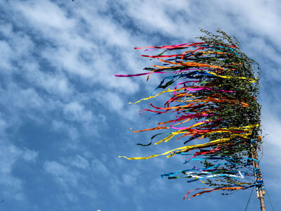 28725427-bunte-baender-maibaum-blaue-himmel-1-mai-feiertag-tag-der-arbeit-1PUdRoxkQze9.jpg