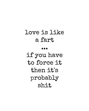1-love-is-like-a-fart-diane-palmer.jpg