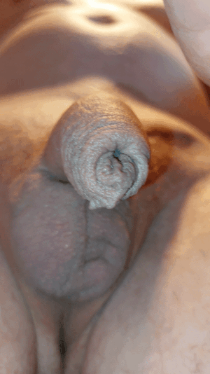20230412_121807_1.gif