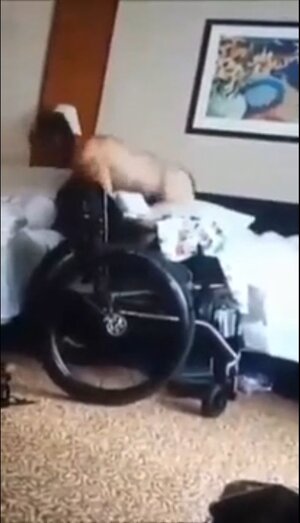 23620010.jpg 23620010.jpg