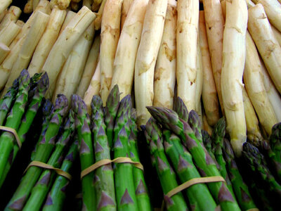 fiche_asperges.jpg fiche_asperges.jpg