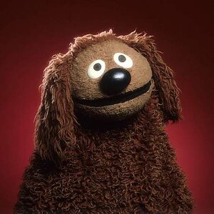 Rowlf2.jpg