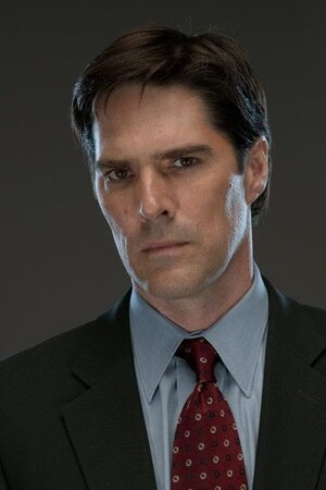 c024c6c9f29433fed80d4d43baef39ee--aaron-hotchner-thomas-gibson.jpg