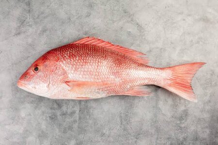 images - 2023-05-14T105320.453.jpeg