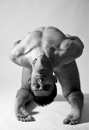 sa 79r5qnbI1r3fqfxo1_1280.jpg