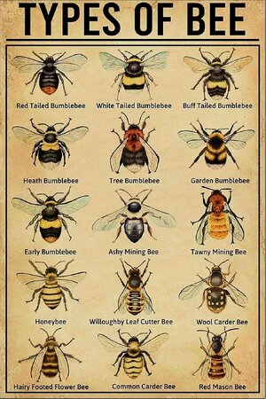 7F65E9DE-E05E-4D03-8456-40CA37B3F42C.jpeg 7F65E9DE-E05E-4D03-8456-40CA37B3F42C.jpeg