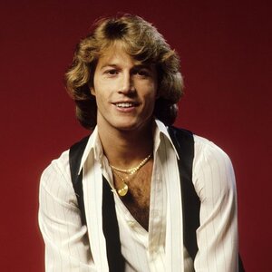 andy-gibb-gettyimages-84889678.jpg
