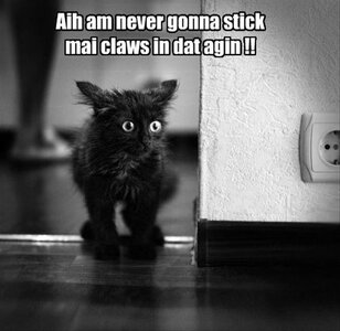 Stick my claws.jpg