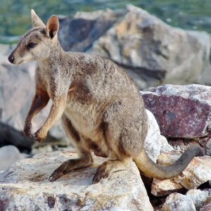 images - 2023-05-20T155742.305.jpeg