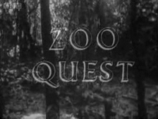Bbc_zoo_quest.png