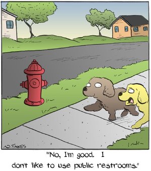 51026356_2136787926364942_5708125756744269824_n.jpg 51026356_2136787926364942_5708125756744269824_n.jpg