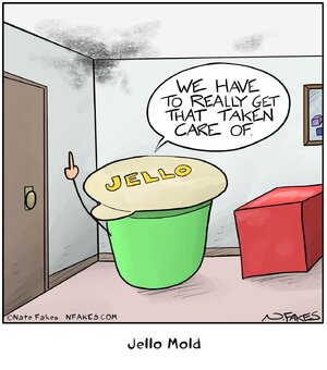 83513305_2802416506468744_4767993450425483264_n.jpg 83513305_2802416506468744_4767993450425483264_n.jpg