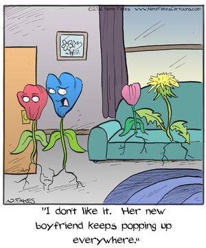 276315353_542646870559626_7891163219595750034_n.jpg 276315353_542646870559626_7891163219595750034_n.jpg