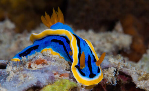 images - 2023-05-24T133327.490.jpeg