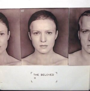 images - 2023-05-28T013030.364.jpeg