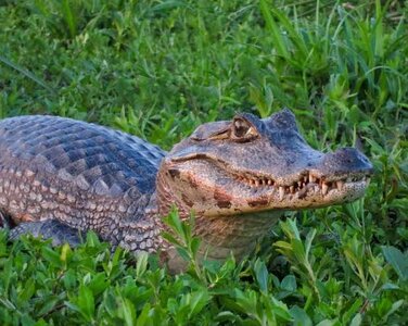 images - 2023-05-28T040031.355.jpeg