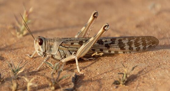 images - 2023-05-28T161607.329.jpeg