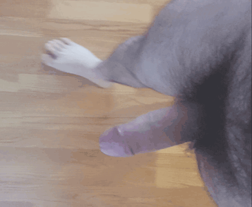 20230528_150235.gif