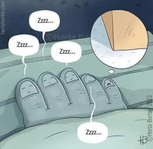 img_1_1685277221765 (1).jpg