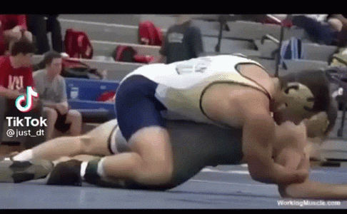 wrestling 5.gif