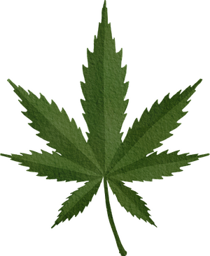 cannabis-or-marijuana-leaf-free-png.png