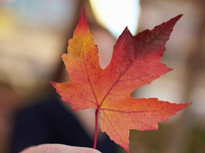 images - 2023-05-29T142148.224.jpeg