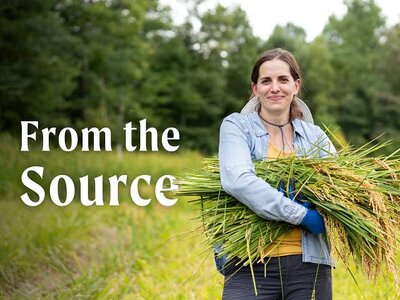 images - 2023-05-31T120927.852.jpeg